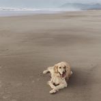 Stephanie Calloway - Facebook