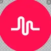 Stephanie Cellucci - @stephaniecellucci - TikTok