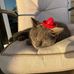 Stephanie Child - Facebook