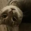 Hi - @stephanie._.delcid - TikTok