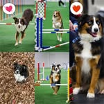 Stephanie Clapp Bardo - @clappbardo - Instagram