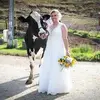 Stephanie Cleaver242 - @stephaniecleaver12 - TikTok