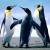 stephanie Cleaver - @stephanie.cleaver2 - TikTok