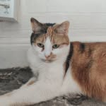 Stephanie taniowskyi clegg - @stephanie_taniowskyi_clegg - Instagram