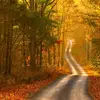 Voice In The Wilderness - @stephanieclement79 - TikTok