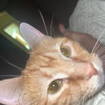 Stephanie Stover-Coello - @rjgordonessentials - Instagram