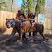 Stephanie Cogan - Facebook