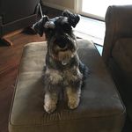 Stephanie Schlaegel Cogdill - @schlaegelcogdill - Instagram