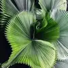 Combes Stephanie - @combes.stephanie - TikTok