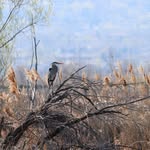 Stephanie Stander Combe - @sjscombe - Instagram
