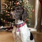 Stephanie Conger Smith - @nccp_mom - Instagram