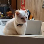 Stephanie Schleicher-Conlon - @schleicherconlon - Instagram