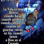 Stephania Mirza Curbelo - @stephaniamirza - Instagram