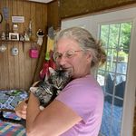 Stephanie Cushman - @guilty_quilty_ladysc - Instagram