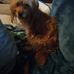 Stephanie Dane - Facebook