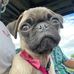 Stephanie Darrow - Facebook