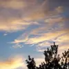 stephanieswapdarrow - @stephanieswapdarrow - TikTok