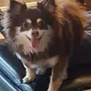 Stephanie Dee - @stephanie.dee4 - TikTok