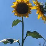 Stephanie Dennison - @swalter19701 - Instagram