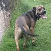 Stephanie Deater - @stephanie.deater3 - TikTok