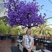 Stephanie Tomerlin-Devitt - Facebook
