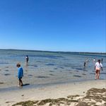 Stephanie Devlin - @journey2homeschool_faithrayne - Instagram