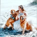 Stephanie Dillinger - @heart_of_gold_retrievers - Instagram