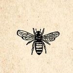 Stephanie Dimmick - @beeswaxandbubbles - Instagram
