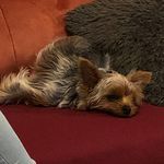 Dorner-kirchholtes Stephanie - @stephanie.dorner.967 - Instagram