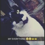 stephanie - @stephanie_doroteo - Instagram