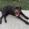 STÉPHANIE_ERIS - @stephaniedorothe - TikTok