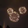 stephaniedowd368 - @stephaniedowd368 - TikTok