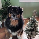 Stephanie Dufour - @stephanie.dufour.10 - Instagram