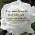Stephanie Dufour - Facebook