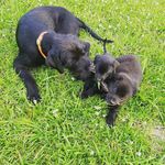 Stephanie Eads - @spe1013 - Instagram