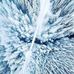 Stephanie Eggert - Facebook