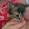 stephanieeldersfr - @stephanieeldersfr - TikTok