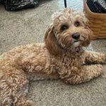 Stephanie Ellinger Galac - @stephaniegalac - Instagram