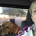 Stephanie Fessner - Facebook