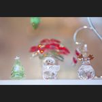 전애정 - @stephaniegalbraith7374 - Instagram