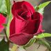 Stephanie Geist - Facebook