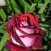Stephanie Gerardo - Facebook