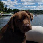 Stephanie Germann Hebert - @sgermann5 - Instagram