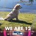 Stephanie Glaze - Facebook