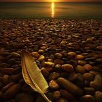 Stephanie Gower - @gower1622 - Instagram