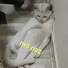 louro Girl - @stephanie.nova.guildaff - TikTok