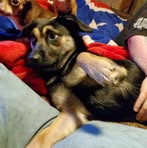 Stephanie Hammonds - Facebook