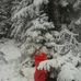 Stephanie Hanus - Facebook