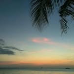 Stephanie Harold - @azh4v4b2i2np - Instagram