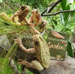 Stephanie Haslam - Facebook